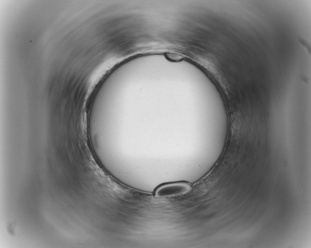 X0000101661472200807311424