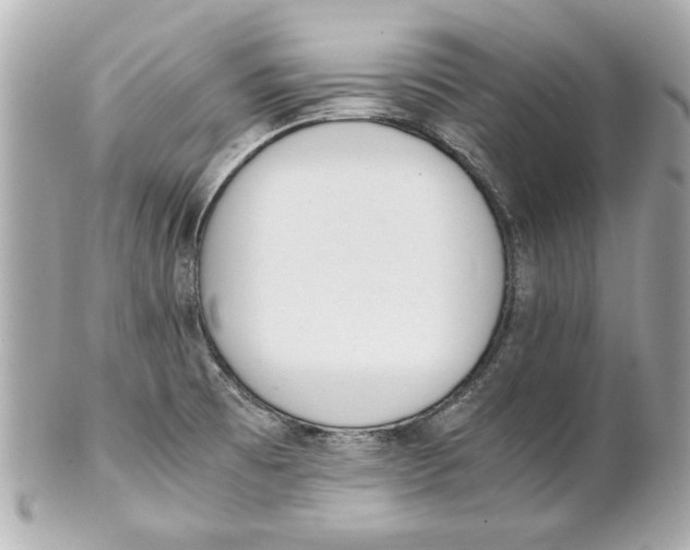 X0000101661473200807311424