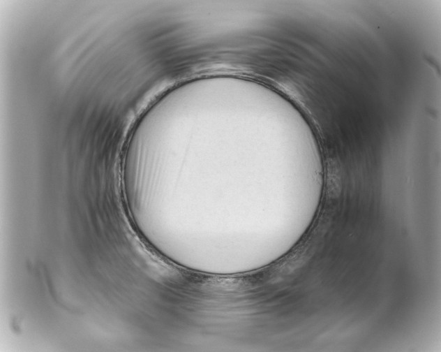 X0000101661474200807311424