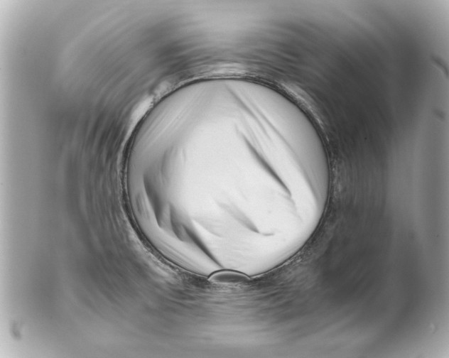 X0000101661475200807311424