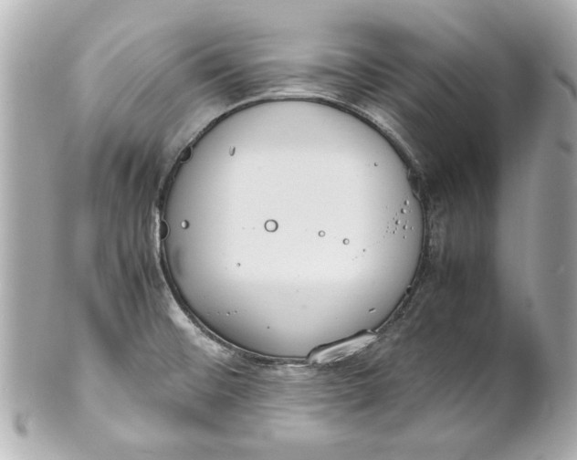 X0000101661476200807311424