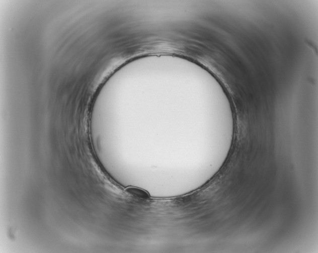 X0000101661477200807311424