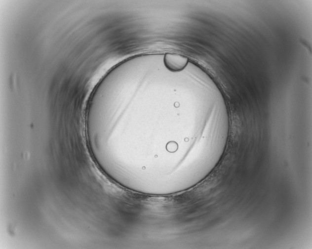 X0000101661478200807311424