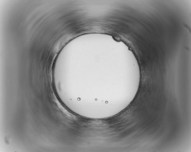 X0000101661479200807311424