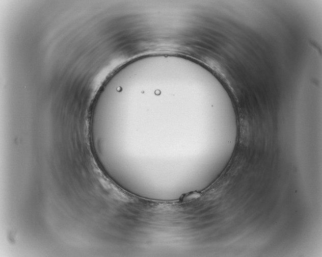 X0000101661480200807311424