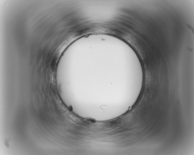 X0000101661481200807311424