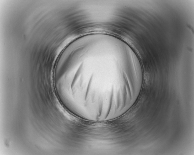 X0000101661482200807311424