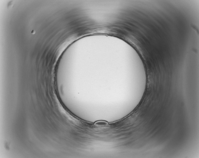 X0000101661483200807311424