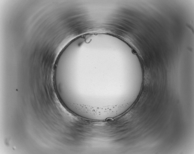 X0000101661484200807311424