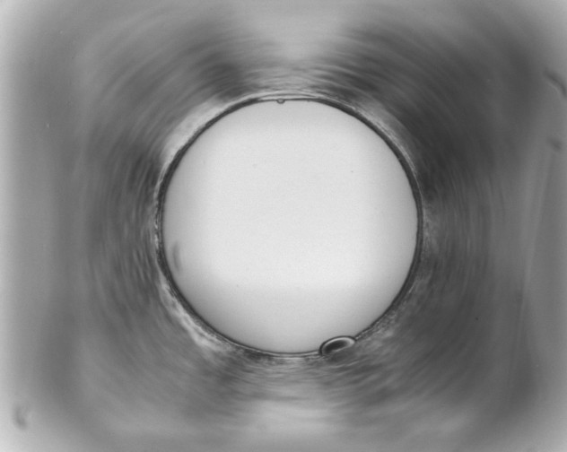 X0000101661485200807311424