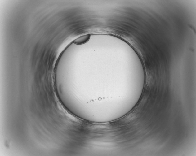 X0000101661486200807311424