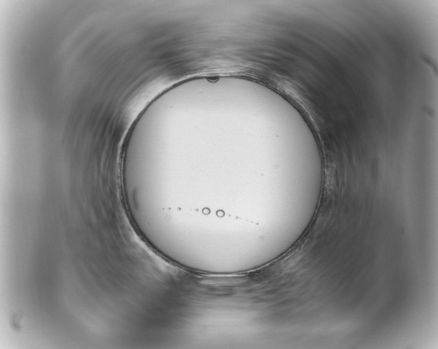 X0000101661487200807311424