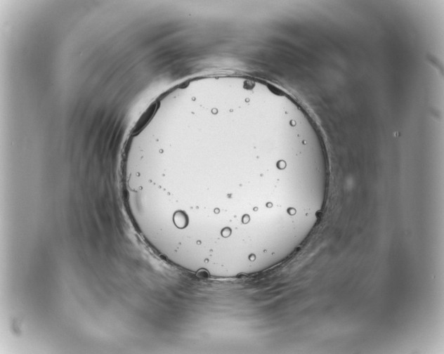 X0000101661488200807311424