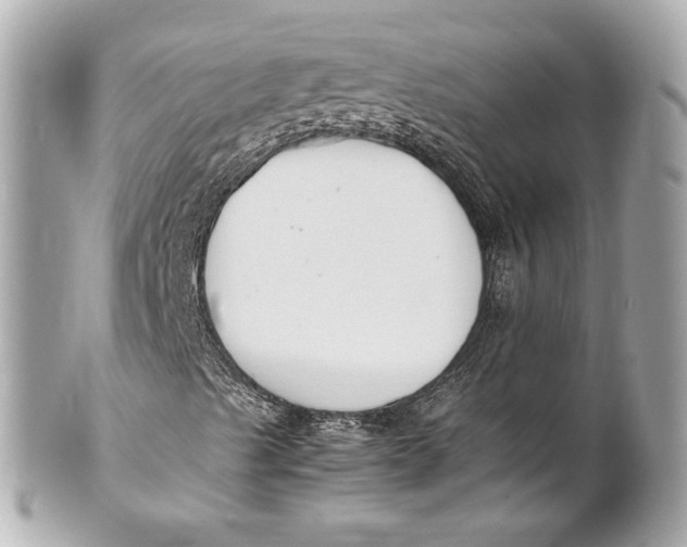 X0000101661489200807311423