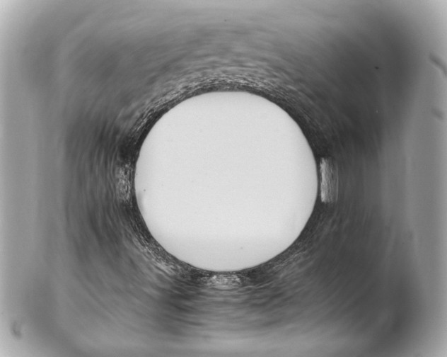 X0000101661491200807311423