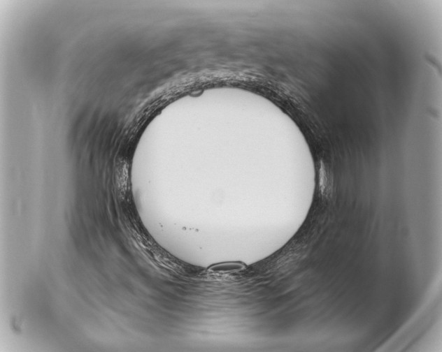 X0000101661492200807311423