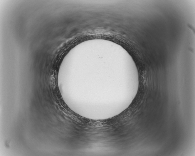 X0000101661493200807311423