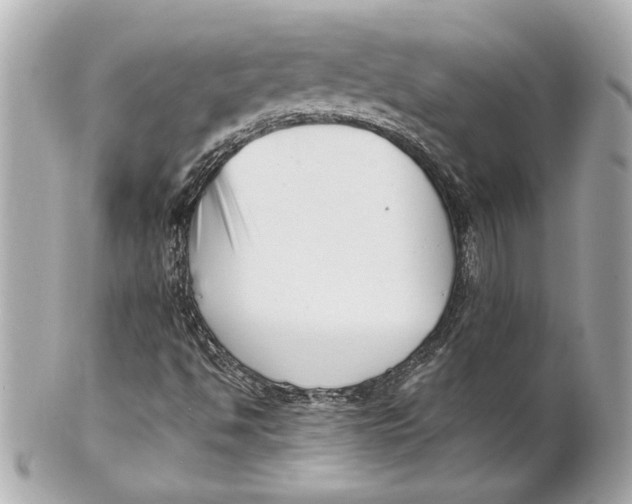 X0000101661494200807311423