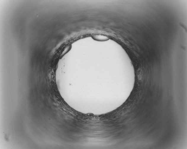 X0000101661495200807311423