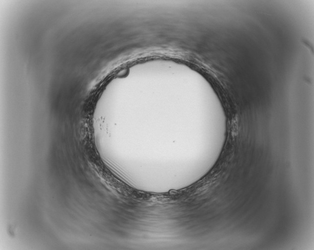 X0000101661496200807311423