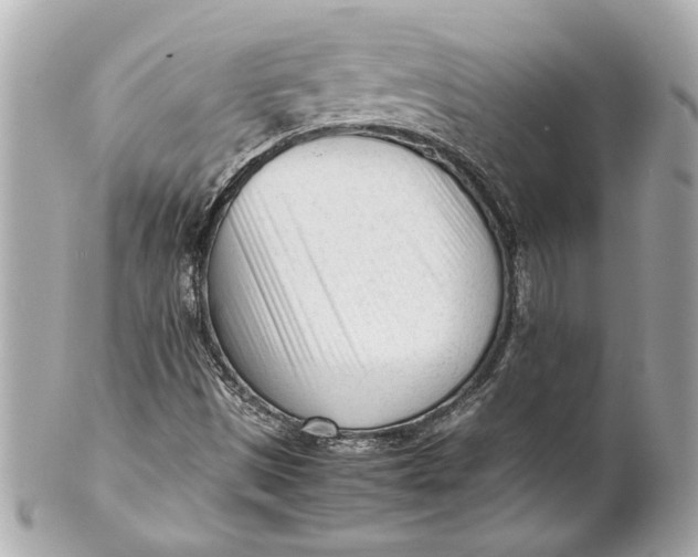 X0000101661497200807311423