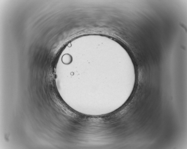 X0000101661498200807311423