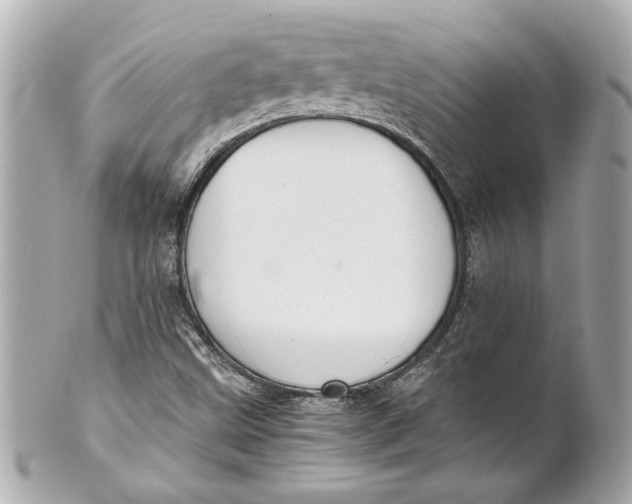 X0000101661499200807311423