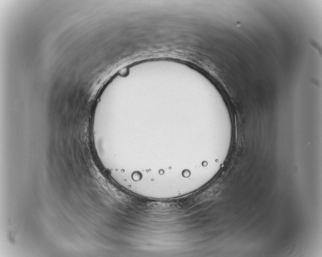 X0000101661500200807311423