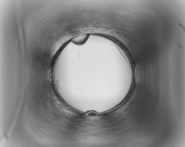 X0000101661501200807311424