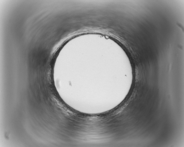 X0000101661502200807311424