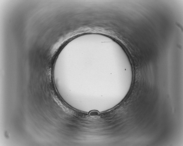 X0000101661503200807311424