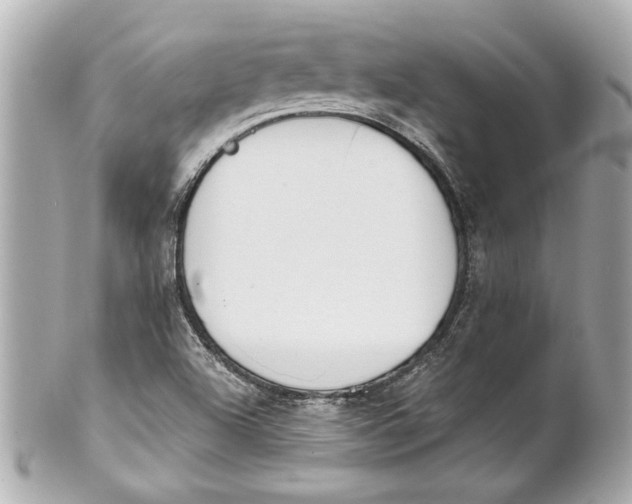 X0000101661504200807311424