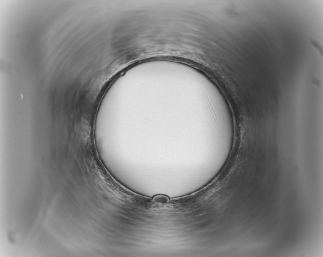 X0000101661505200807311424