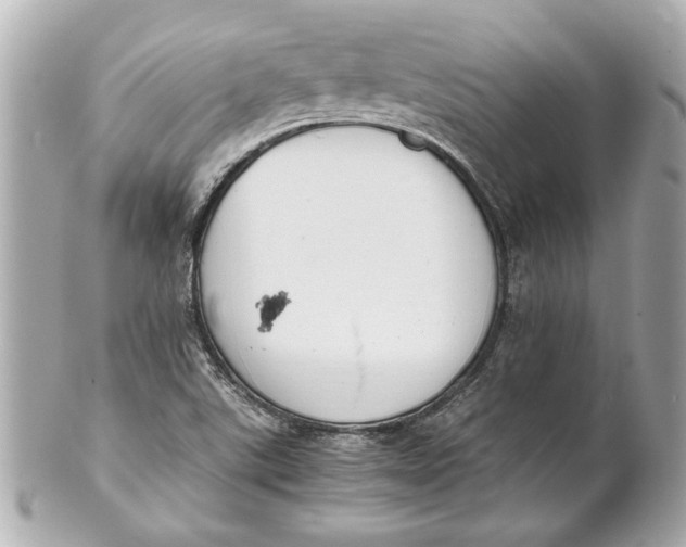 X0000101661507200807311424