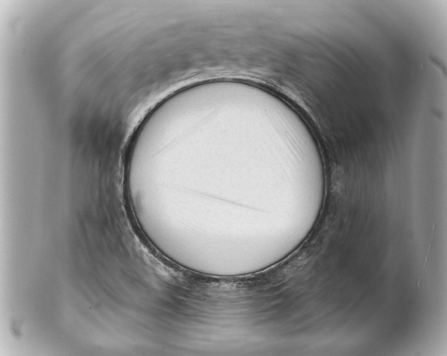 X0000101661508200807311424