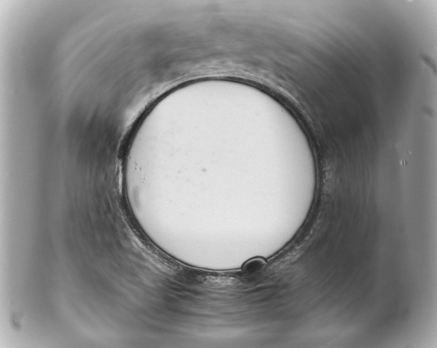 X0000101661509200807311424