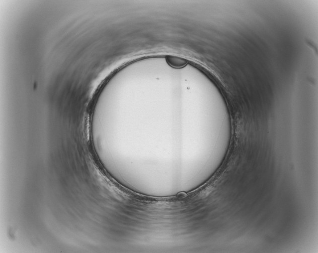 X0000101661510200807311424