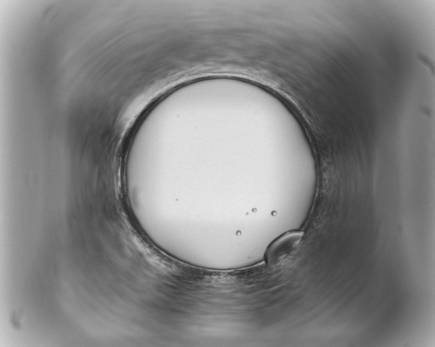 X0000101661511200807311424