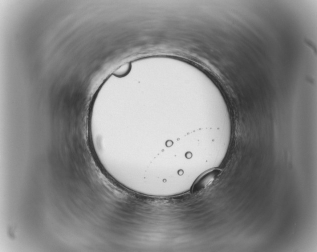 X0000101661512200807311424