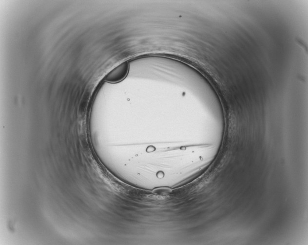 X0000101661513200807311424