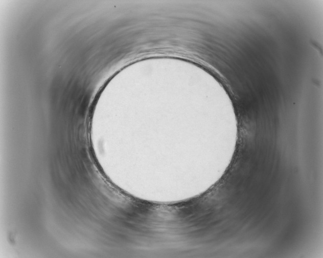 X0000101661514200807311424