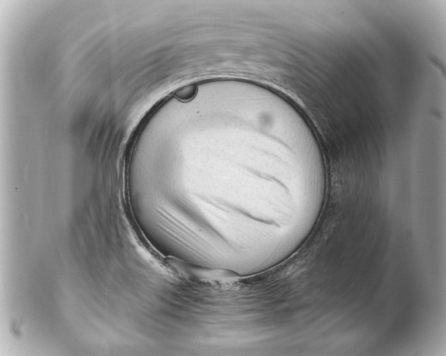 X0000101661515200807311424