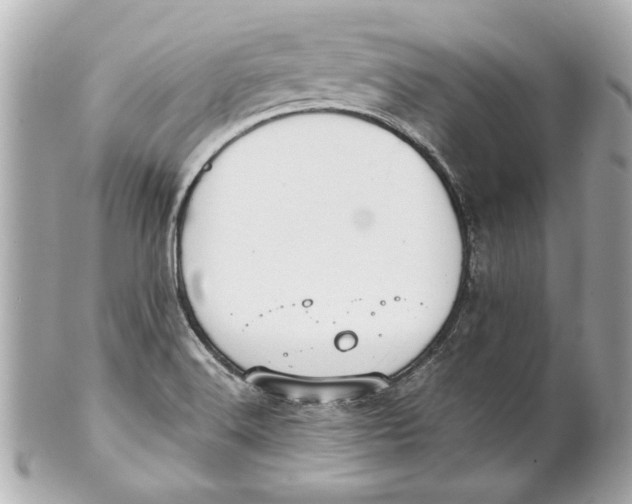 X0000101661516200807311424