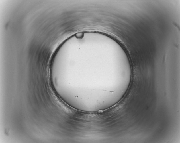 X0000101661517200807311424