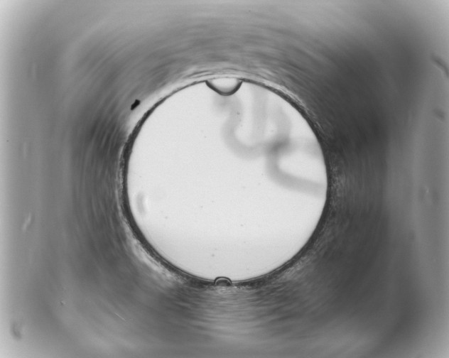 X0000101661518200807311424