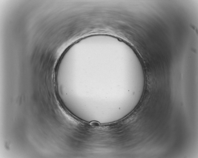 X0000101661519200807311424