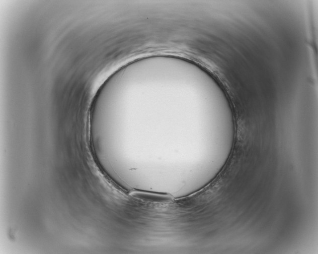 X0000101661520200807311424