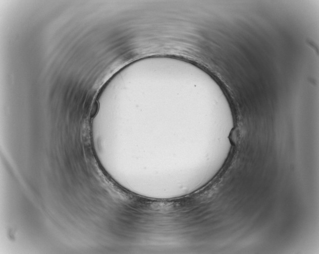 X0000101661521200807311424