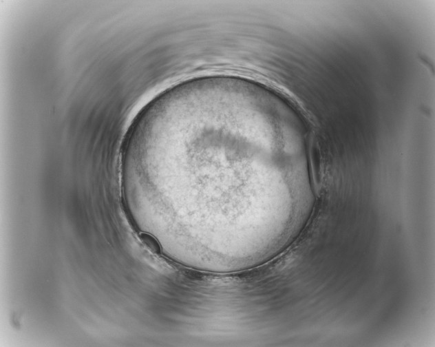 X0000101661522200807311424