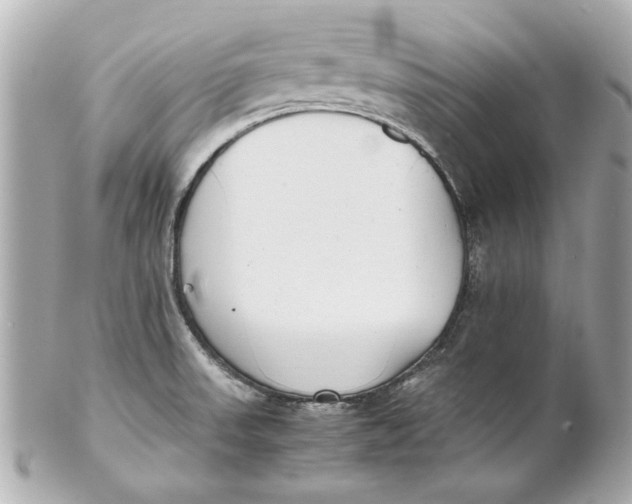 X0000101661523200807311424